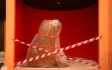 Naturhistorisches Museum Bern, Ausstellung c’est la vie, eingepacktes Walross
