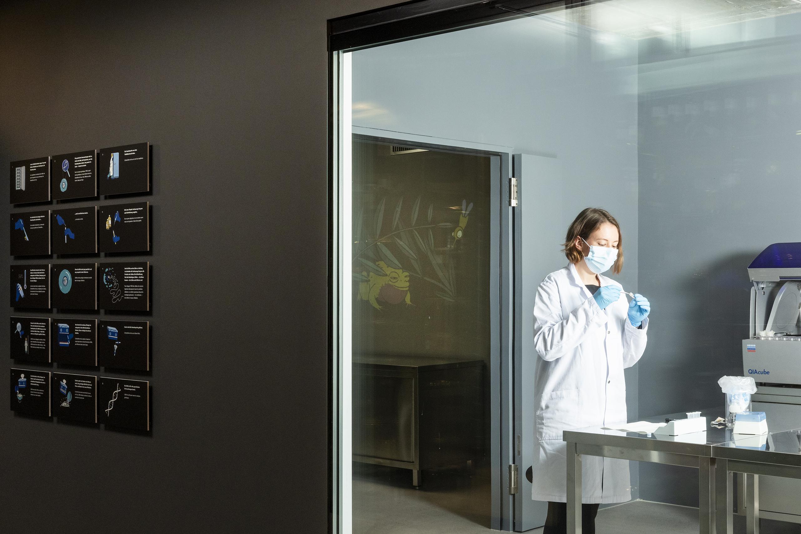Das Schaulabor in der Wunderkammer erlaubt einen einzigartigen Einblick in unsere Forschungstätigkeiten